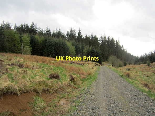 Photo 6"x4" Logging road, Newcastleton Forest Whithaugh c2013