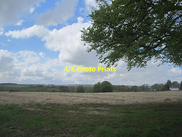 Photo 6"x4" Straw covered crop Tibbermore c2013