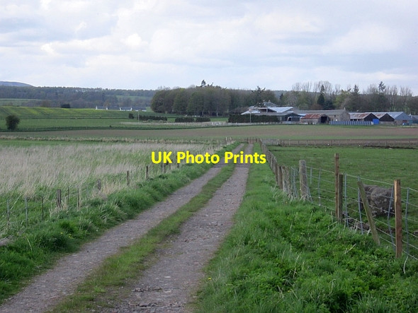 Photo 6"x4" Farm road to Bachilton Braegrum c2013