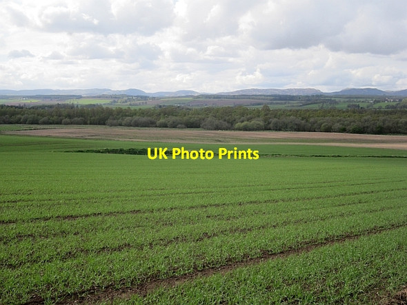 Photo 6"x4" View towards Methven Moss Burnside\/NO0125 c2013