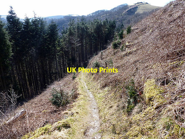 Photo 6"x4" Above the Rheidol valley near the Vale of Rheidol Railway Devil's Bridge\/Pontarfynach c2013