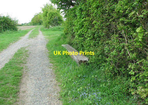 Photo 6"x4" Seat beside bridleway to Cucumber Lane, Ellough Beccles c2013