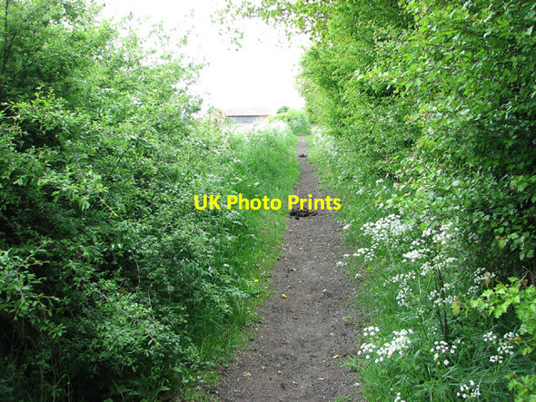 Photo 6"x4" Bridleway by Cucumber Lane Farm, Ellough Beccles c2013