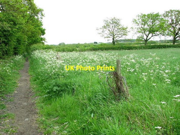 Photo 6"x4" Fields by Cucumber Lane Farm, Ellough Beccles c2013