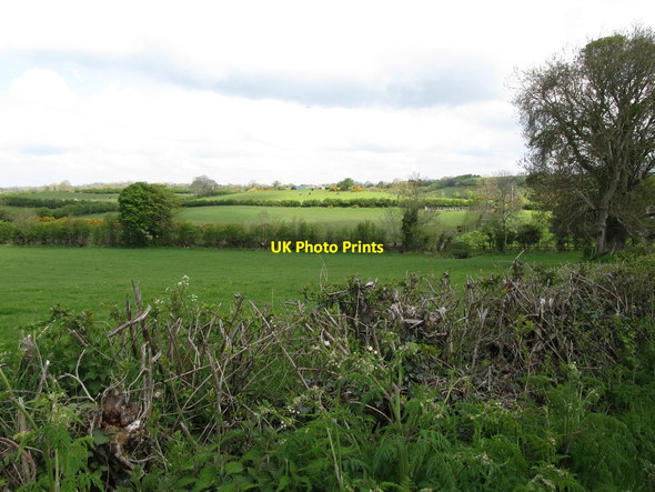 Photo 6"x4" Farmland north-northwest of the road Hackballs Cross c2013
