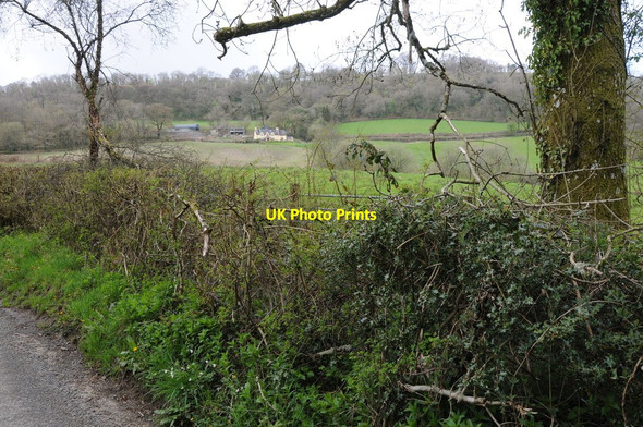 Photo 6"x4" Farmland above Afon Mynys Cwmdwr c2013