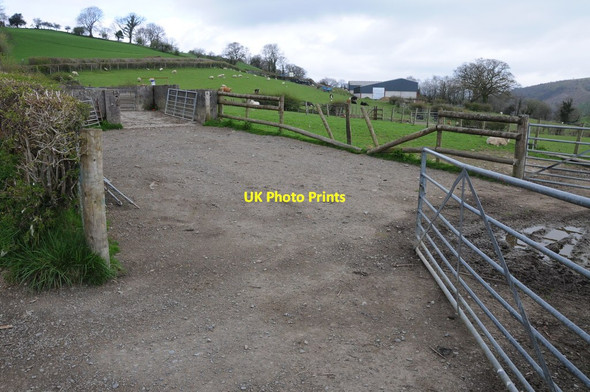 Photo 6"x4" Livestock pens Cwmdwr c2013