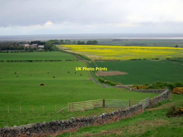 Photo 6"x4" Looking towards West Kyloe from Kyloe Crag Fenwick\/NU0640 c2013