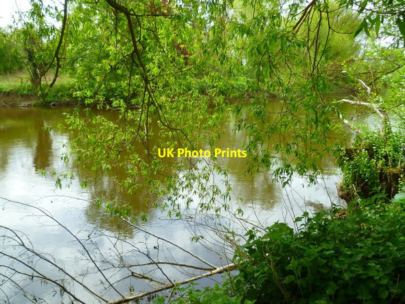 Photo 6"x4" Beeches Way (5) Cookham c2013