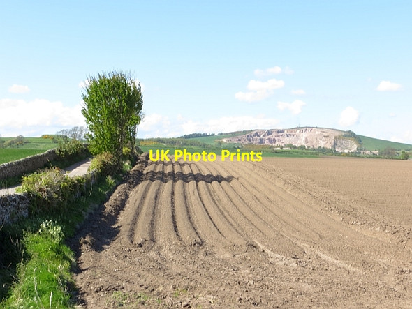 Photo 6"x4" Potato field, Pitcullo Balmullo c2013