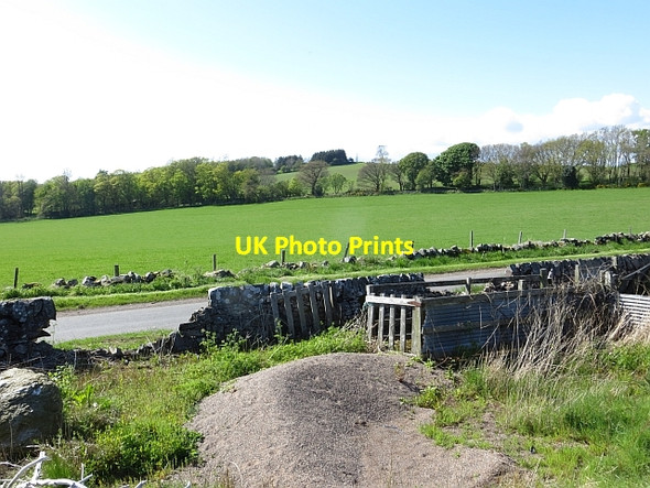 Photo 6"x4" Sheep dip, Craigsanquhar Kedlock c2013