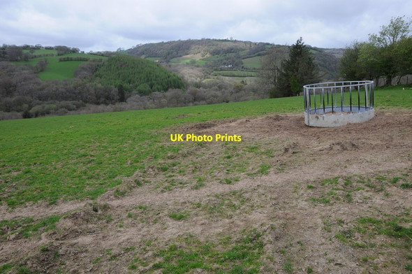 Photo 6"x4" Feeding rack Cwmdwr c2013