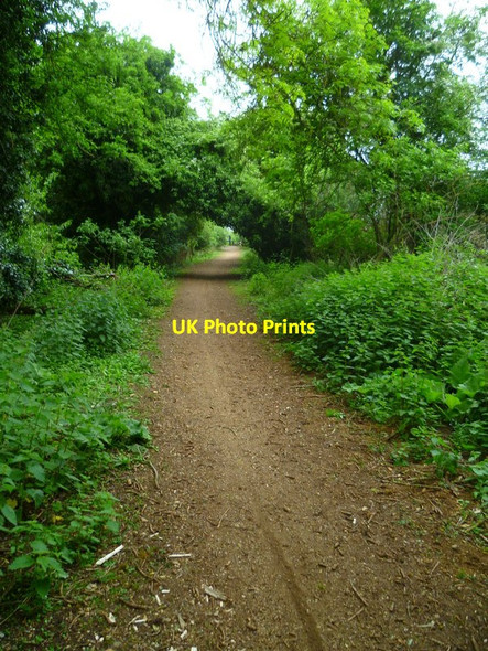 Photo 6"x4" Beeches Way (95) Yiewsley c2013