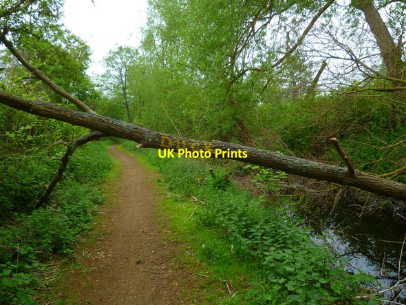 Photo 6"x4" Beeches Way (96) Yiewsley c2013