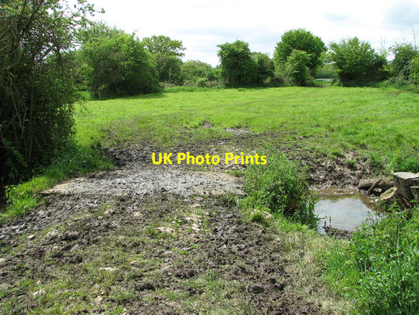 Photo 6"x4" Bridge over stream in cattle pasture Fritton\/TM2292 c2013