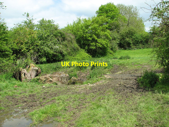 Photo 6"x4" Bridge over stream in cattle pasture Fritton\/TM2292 c2013 P1
