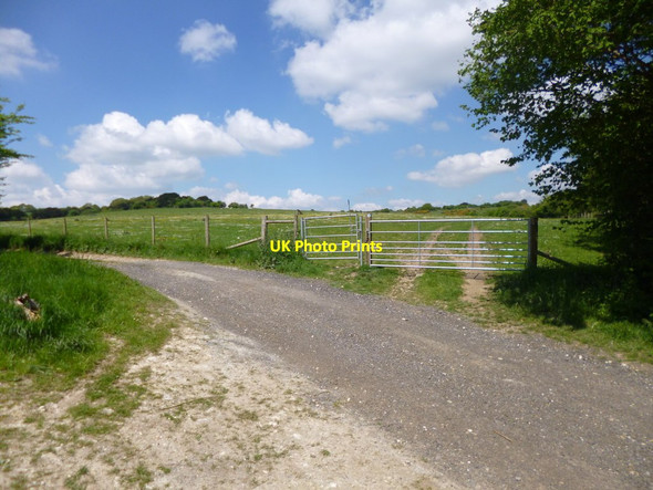 Photo 6"x4" Tidpit, bridleway junction Martin\/SU0619 c2013