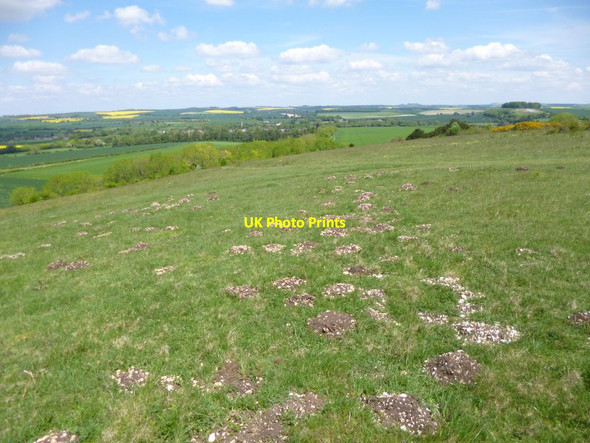 Photo 6"x4" Martin, molehills Martin\/SU0619 c2013