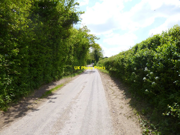 Photo 6"x4" Tidpit, country road East Martin c2013