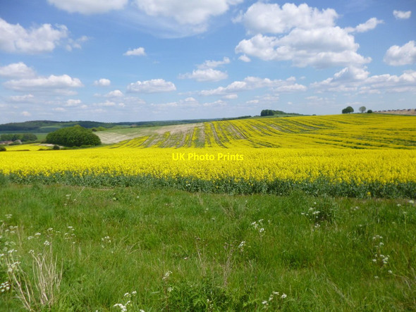 Photo 6"x4" Damerham, cropland East Martin c2013