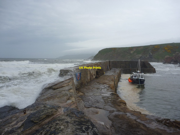 Photo 6"x4" Coastal Berwickshire : Having A Swell Time At Cove Harbour Cove\/NT7771 c2013