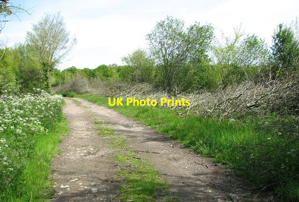 Photo 6"x4" View along Nobbs' Lane, Hempnall Road Green\/TM2693 c2013