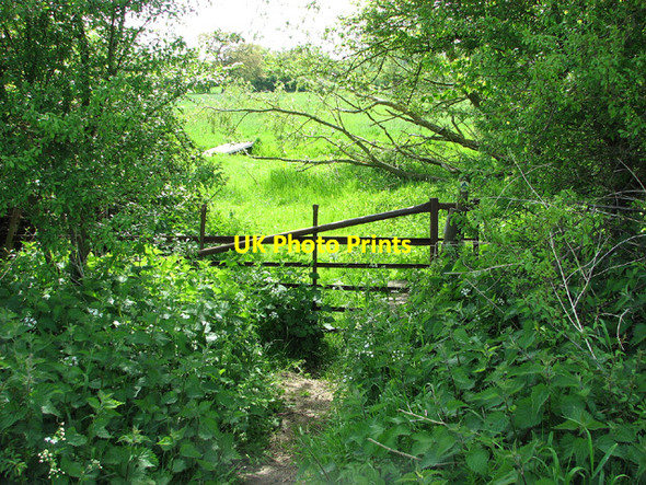 Photo 6"x4" Dilapidated gate and stile into water meadows, Fritton Fritton\/TM2292 c2013