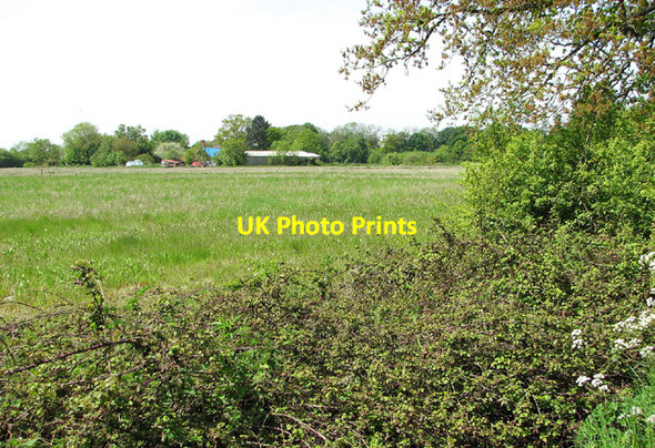 Photo 6"x4" View towards Primrose Farm, Shelton Green Shelton\/TM2290 c2013