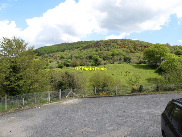 Photo 6"x4" The wooded slopes of Tievecrom Mountain from the seats on Main Street Forkhill c2013