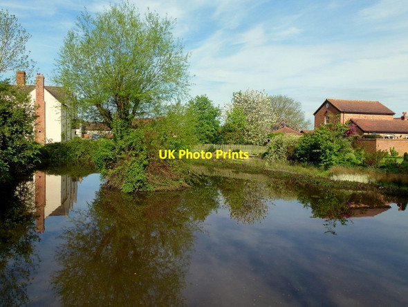 Photo 6"x4" Pond at Churcham Court Churcham c2013