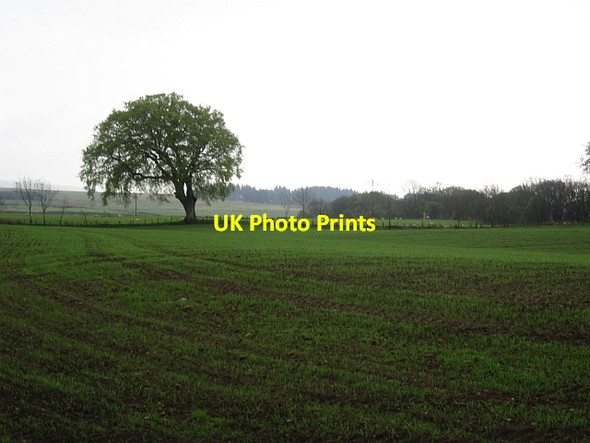 Photo 6"x4" Field, Mains of Balhaldie Greenloaning\/NN8307 c2013