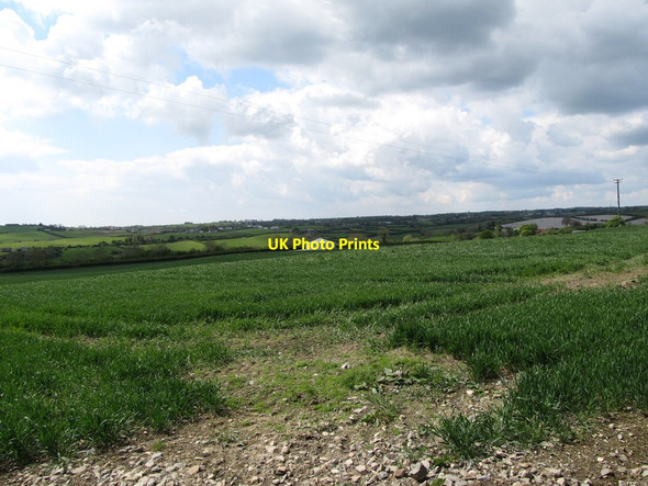 Photo 6"x4" Cropland west of the L7105 Forkhill c2013