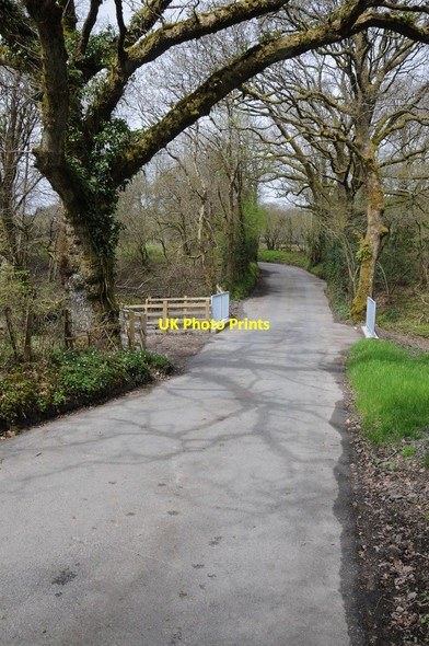 Photo 6"x4" New bridge over a stream Llansadwrn\/SN6931 c2013