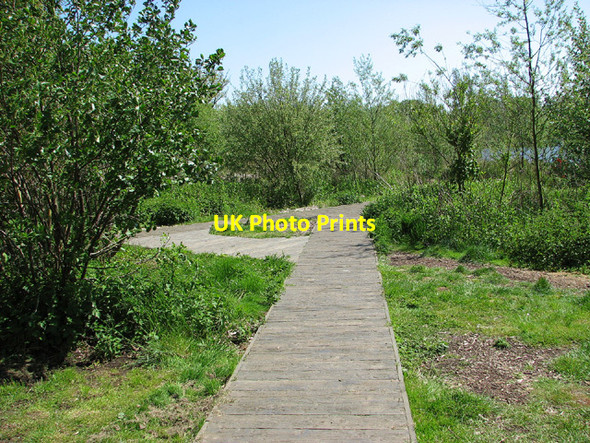 Photo 6"x4" Boardwalk to Leathes Ham, Lowestoft Lowestoft c2013