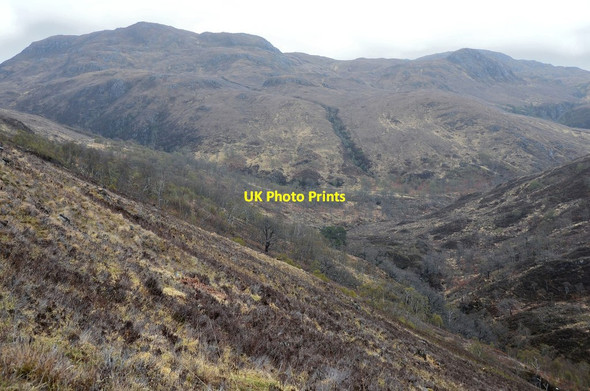 Photo 6"x4" Glen of the River Attadale Strathan\/NG9338 c2013