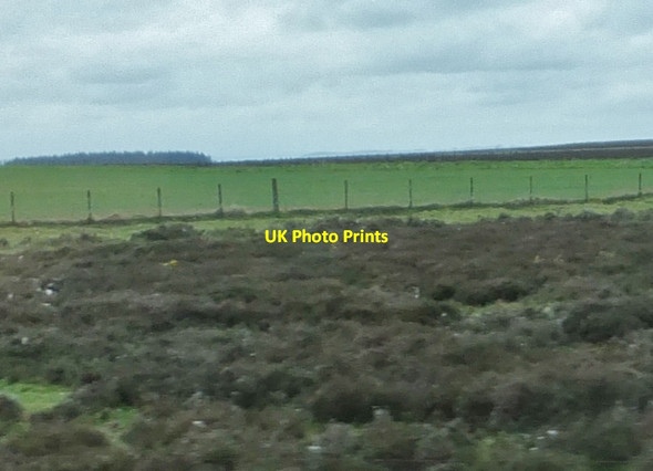 Photo 6"x4" Rough heath and drained land, Greenlaw Moor Greenlaw\/NT7146 c2013