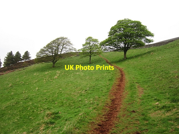 Photo 6"x4" Path on Little Hill Faughill c2013
