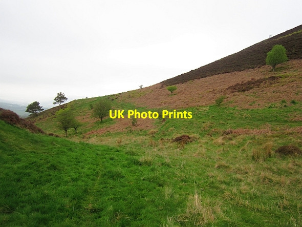 Photo 6"x4" On the Eildon Hills Melrose\/NT5434 c2013