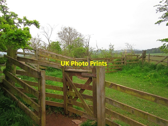 Photo 6"x4" Gates, Bowden Common Faughill c2013