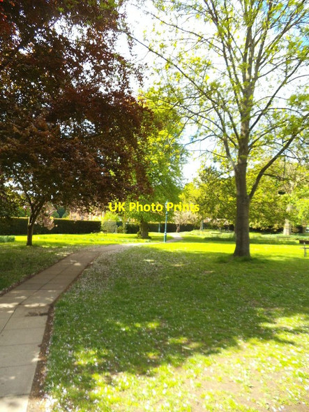 Photo 6"x4" Himley Footpath Himley c2013