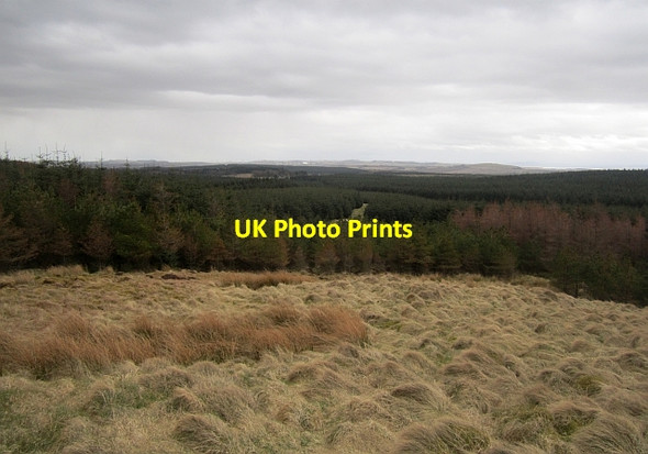 Photo 6"x4" View from Kings-seat Knowe Cleish c2013