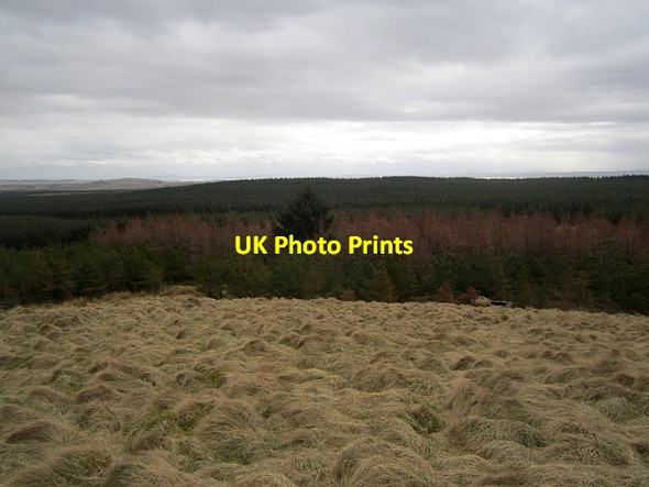 Photo 6"x4" View from Kings-seat Knowe Cleish c2013 P1