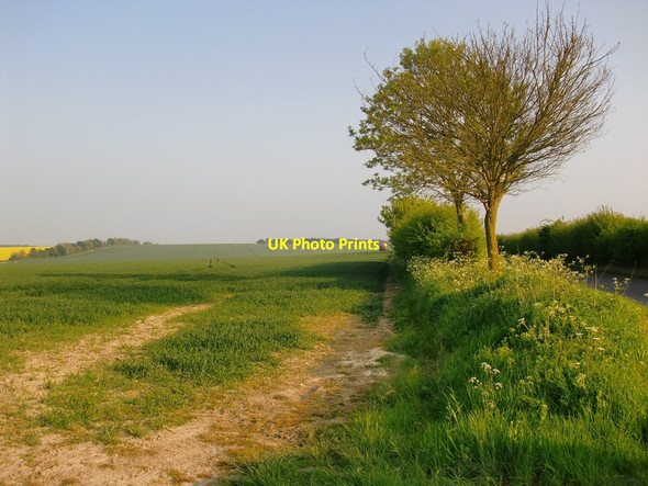 Photo 6"x4" View from a field entrance, south of Ashwell Ashwell\/TL2639 c2013