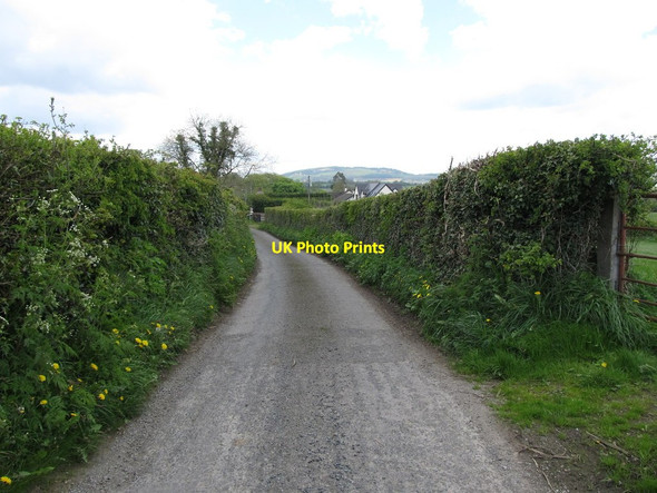 Photo 6"x4" View north along the L7106 Faughart Upper c2013