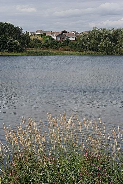 Photo 6"x4" Turfbeg and Forfar Loch Forfar c2008