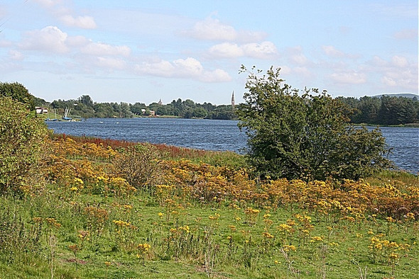 Photo 6"x4" Forfar Loch Forfar c2008