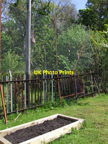 Photo 6"x4" Inverkip Primary School garden Inverkip c2013