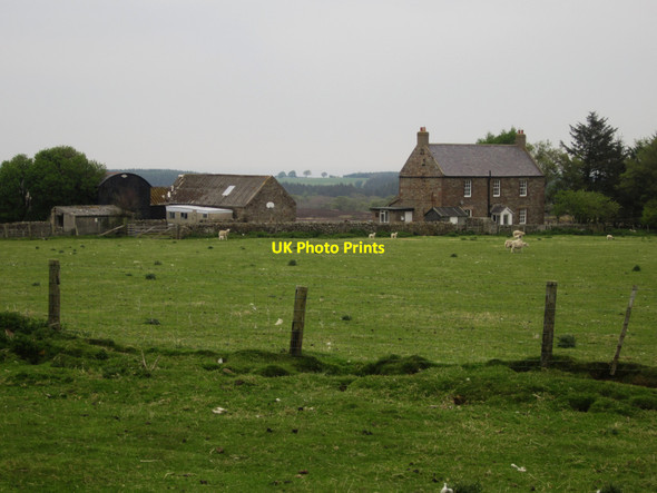 Photo 6"x4" Chatton Sandyfords Warenford c2013