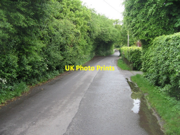 Photo 6"x4" View south along Pardown Pardown c2013
