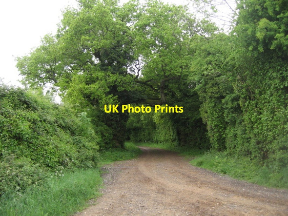 Photo 6"x4" Track passing Jeffery's Copse Pardown c2013